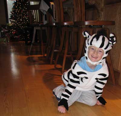 zebracostume.jpg
