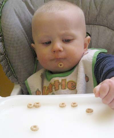 N-cereal.jpg