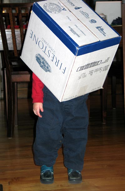 boxonhead1221.jpg