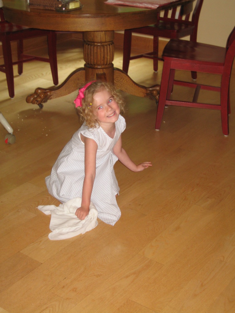 071908_CinderellaLeahBlog.jpg