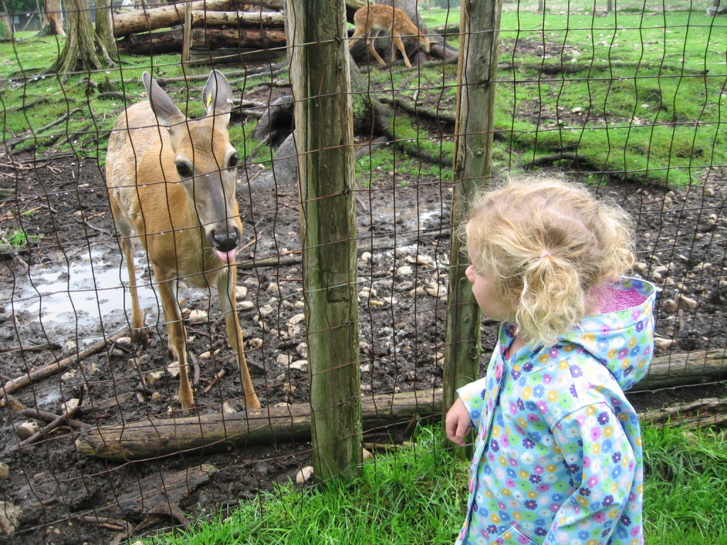 072209_LDeerBlog.jpg