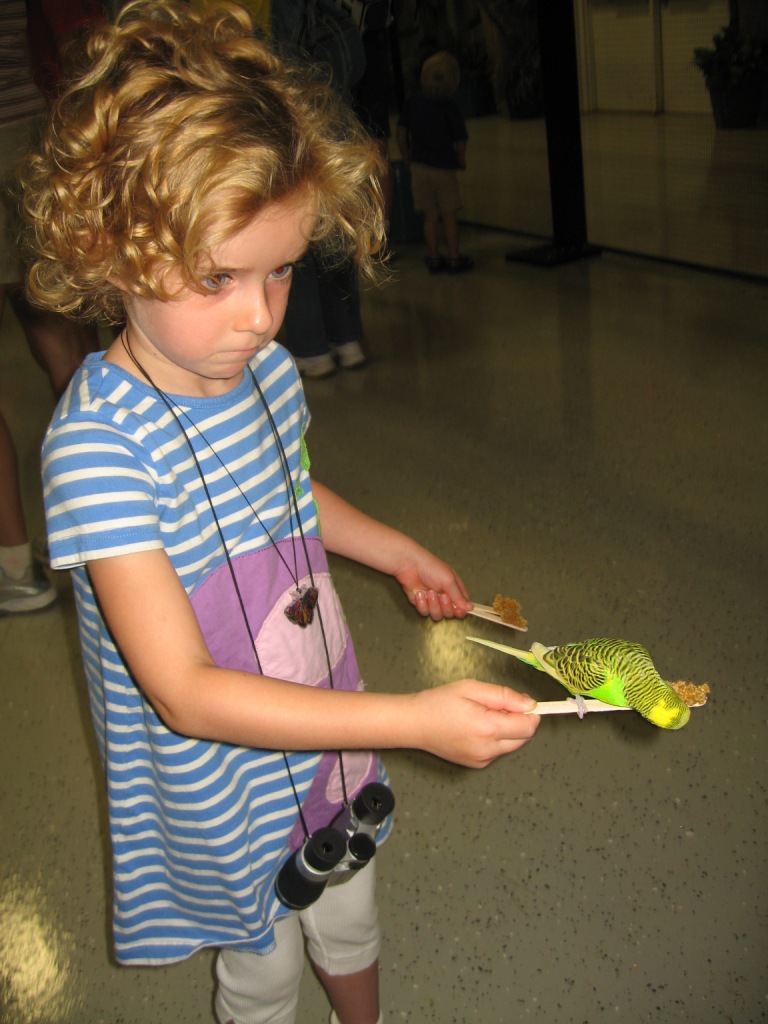 081409_LFeedsBirdZooBlog.jpg