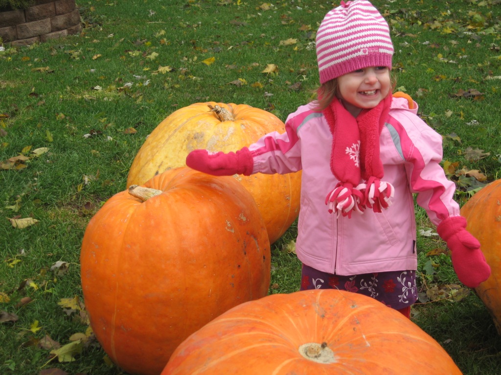 102409_ZPumpkinPatchBlog.jpg